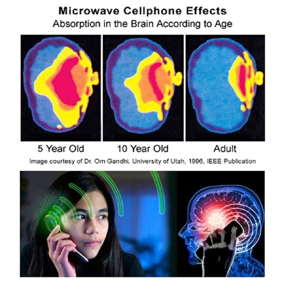 24k Gold Radiation Safe, anti-radiation Korean technology stickers - Picture 3 of 8